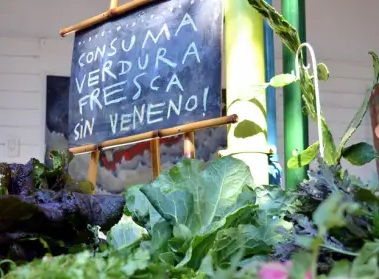 feria1