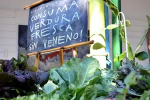 La Feria Cultiva vuelve a presentar lo mejor de la huerta