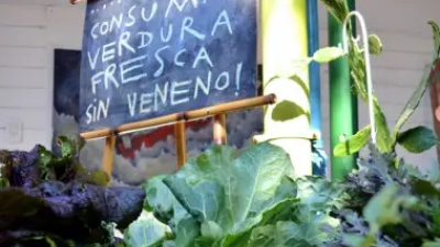 La Feria Cultiva vuelve a presentar lo mejor de la huerta