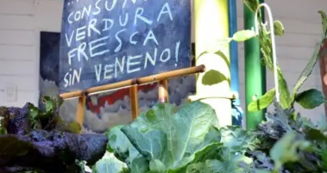 La Feria Cultiva vuelve a presentar lo mejor de la huerta
