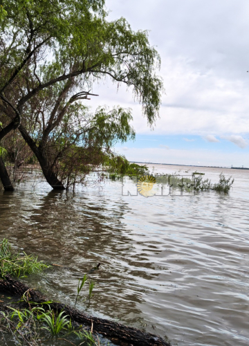 El Paraná crece a un ritmo acelerado y se espera que llegue a 7,50 metros