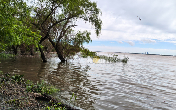 El Paraná crece a un ritmo acelerado y se espera que llegue a 7,50 metros