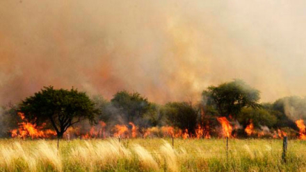 incendio.jpg