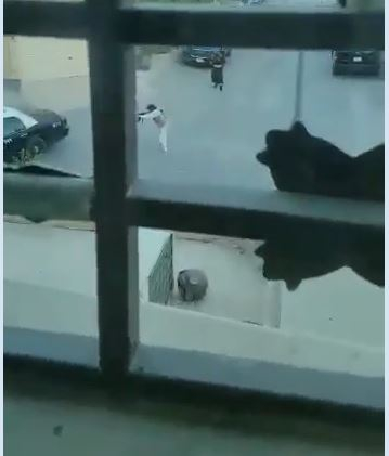 Capturavideo.JPG