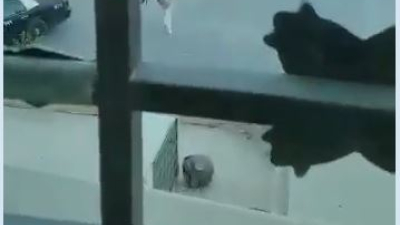 Impresionante video de policía saudita matando a dos terroristas