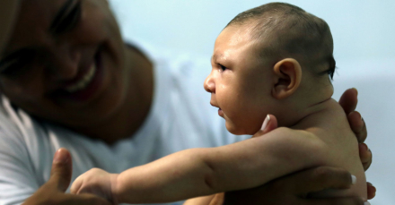 zika nene dailysignal.jpg