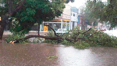 Fuerte temporal ocasionó voladuras de techos en Santiago del Estero