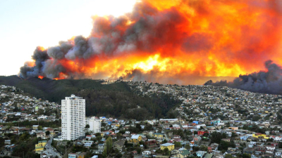 El mayor desastre forestal de la historia de Chile