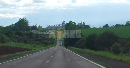 SOYA BRASIL.jpg