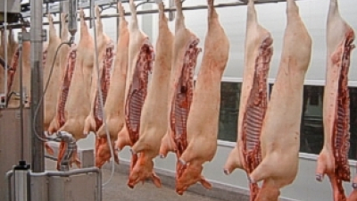 El sector porcino en 2016, con récord de producción y consumo a nivel nacional