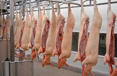 El sector porcino en 2016, con récord de producción y consumo a nivel nacional