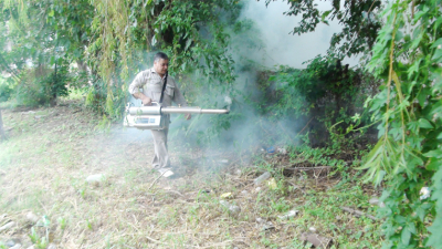 Confirman el primer caso de zika en Sáenz Peña