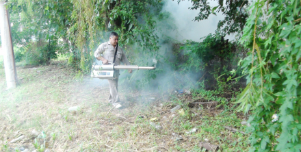 zika.jpg
