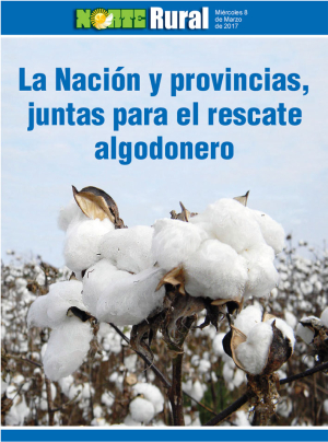 La Nación y provincias, juntas para el rescate algodonero