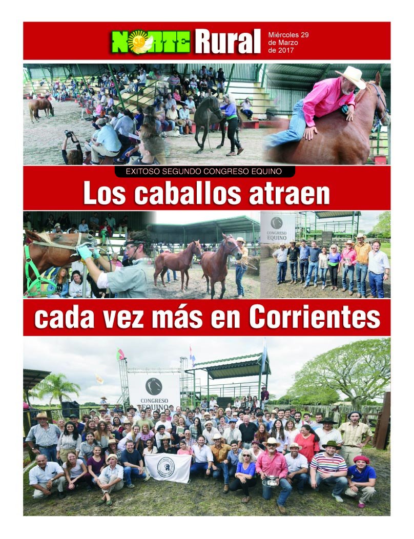 Los caballos atraen cada vez mas en Corrientes