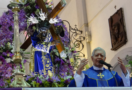 Cardenal Venezuela.jpg