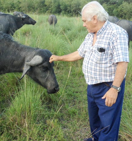 bufalo2.jpg