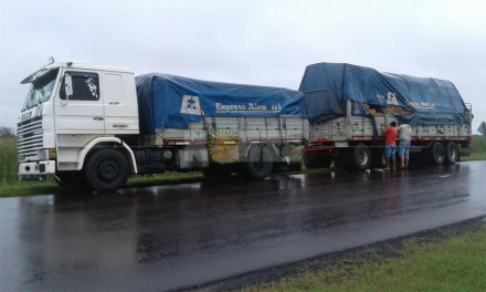 camion5.jpg
