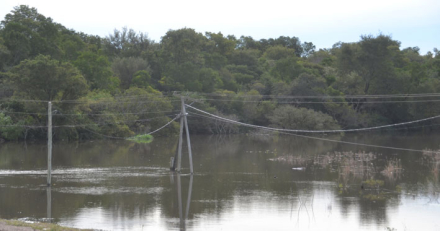 CAMPOS-BAJO-AGUA11.jpg