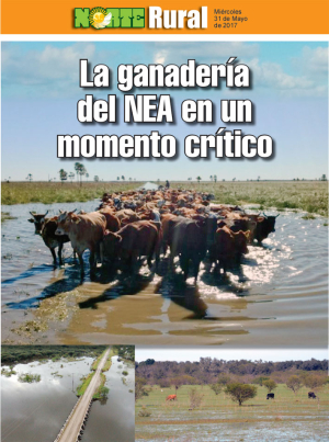 La ganadería del NEA en un momento crítico