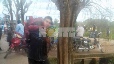 Volcó camión con vacas en Quitilipi y los vecinos se llevaron la carne