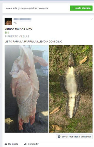 Captura yacare.JPG