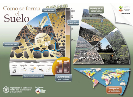 suelo.jpg
