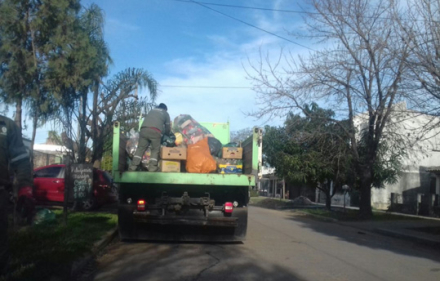 recoleccion.jpg