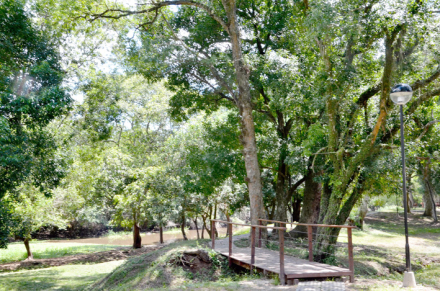 humedales2.jpg