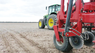 Los buenos precios y la humedad mantienen el área a implantar con girasol