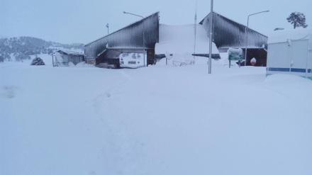 Nieve sur 2.jpg