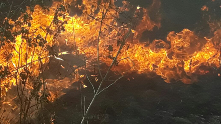 incendio.jpg