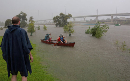 harvey8.jpg