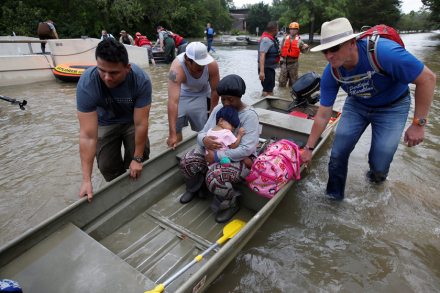 Harvey.jpg