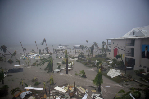 irma.jpg