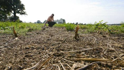 Clima: especialista pronosticó que hay tendencia hacia la instalación de una Niña