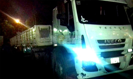 camion.jpg