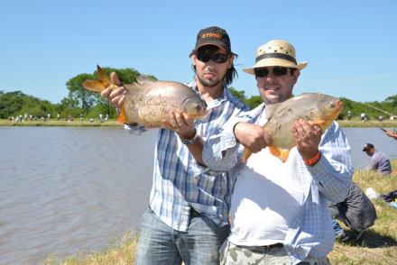 pacu 2.jpg