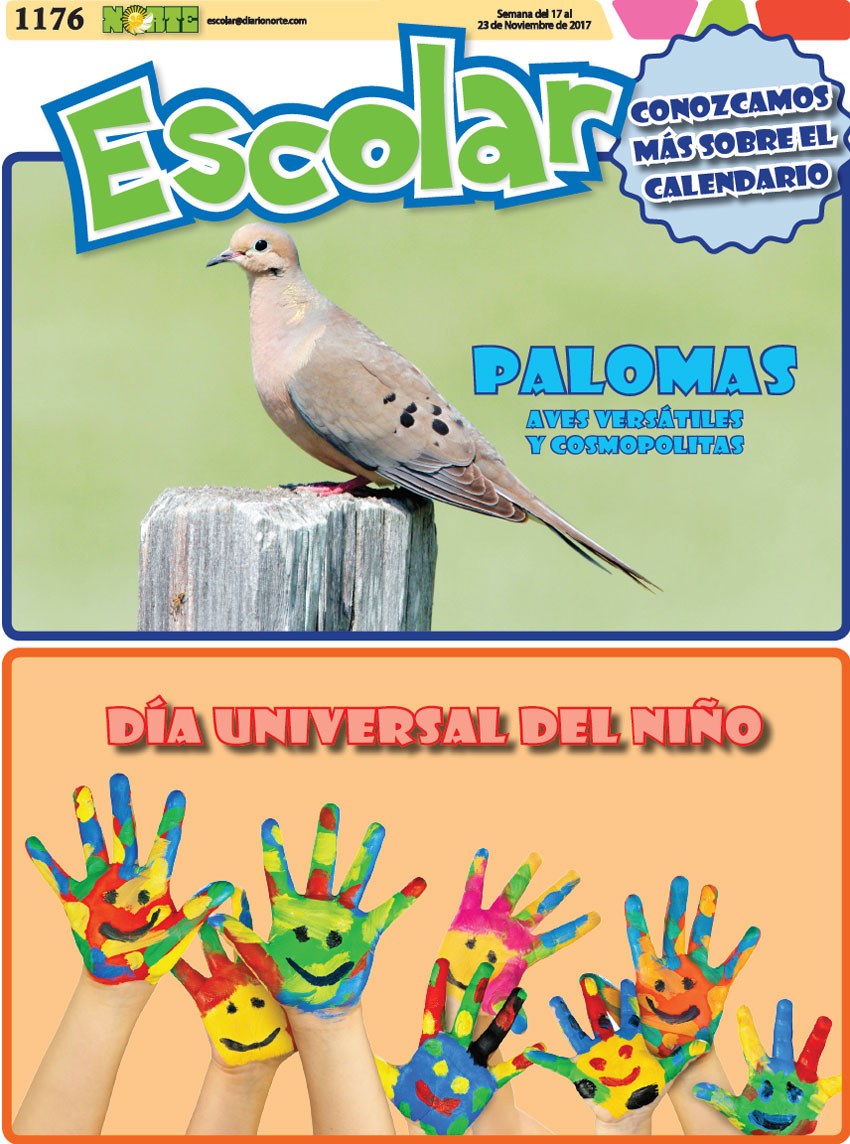 Palomas: aves versátiles y cosmopolitas