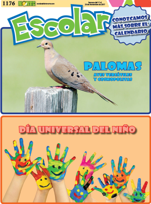 Palomas: aves versátiles y cosmopolitas