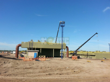 planta6.jpg