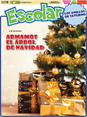 Armamos el árbol de navidad