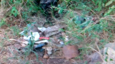 Hallaron restos óseos en una estancia cerca de Curuzú Cuatiá