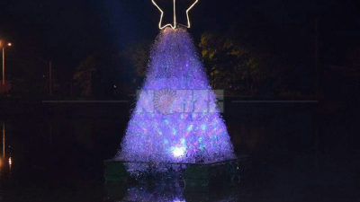 Árboles navideños y luces decoran el “jardín del Chaco”