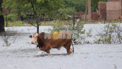El gobierno decretó la emergencia agropecuaria en tres departamentos de la provincia