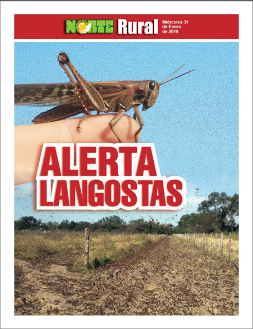 Alerta langostas