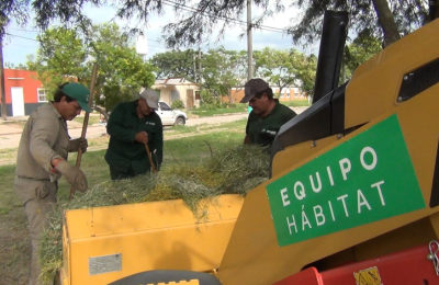 El Equipo Hábitat continúa limpiando y desmalezando en colegios de la ciudad