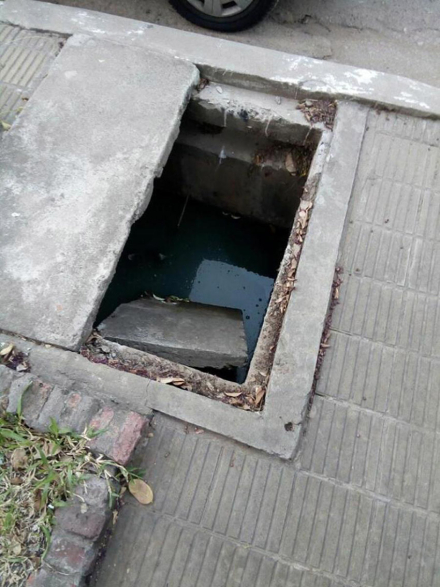 PLUVIAL.jpg