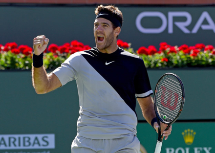delpo.jpg