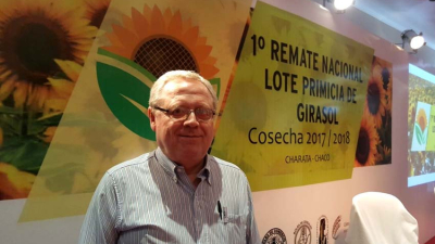 El girasol ante el desafío de recuperar 900.000 hectáreas los próximos dos años